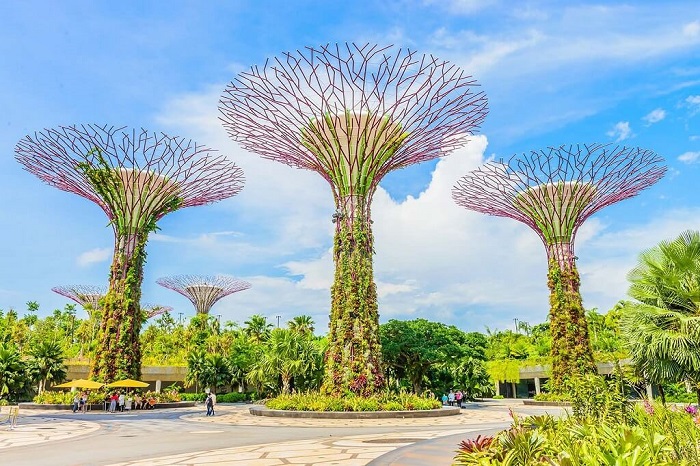 Gardens by the Bay