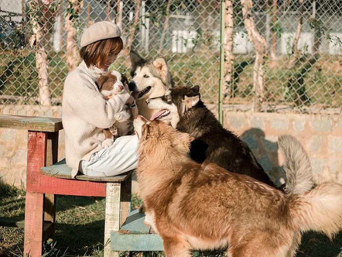 đi tour Nha Trang Đà Lạt 5 ngày 4 đêm tham quan nông trại cún