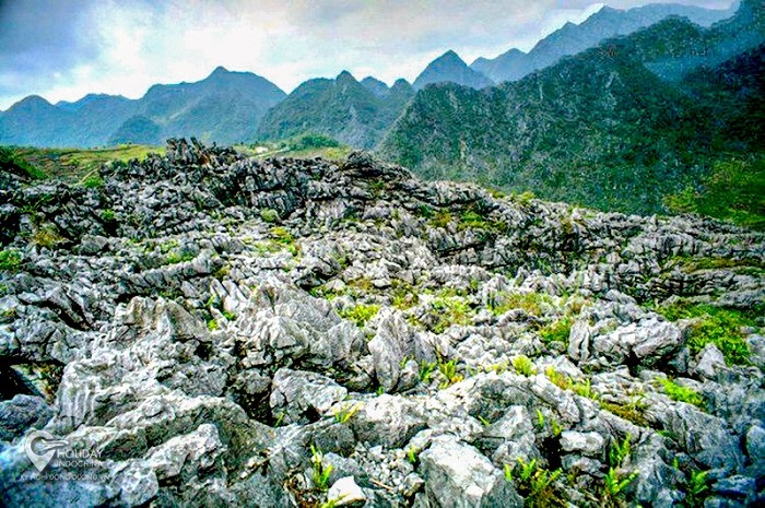 tour Tuyên Quang - Hà Giang - Cao Bằng từ Hồ Chí Minh Cao nguyên đá Đồng Văn 