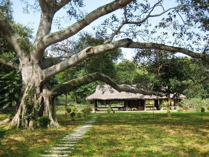 tour Tuyên Quang - Hà Giang - Cao Bằng từ Hồ Chí Minh khu du lịch Tân Trào 
