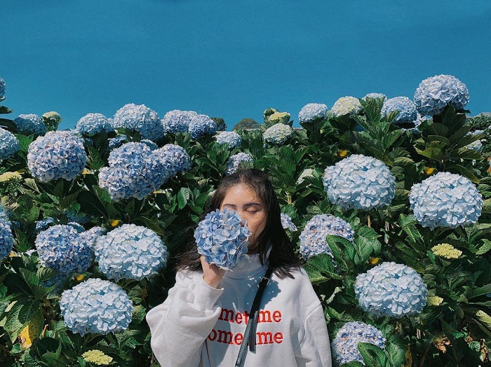 Combo Đà Lạt 3N2Đ lưu trú khách sạn Ladalat 5 sao