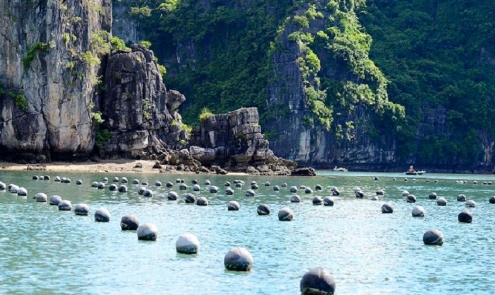Du thuyền Paradise Elegance 5 sao 