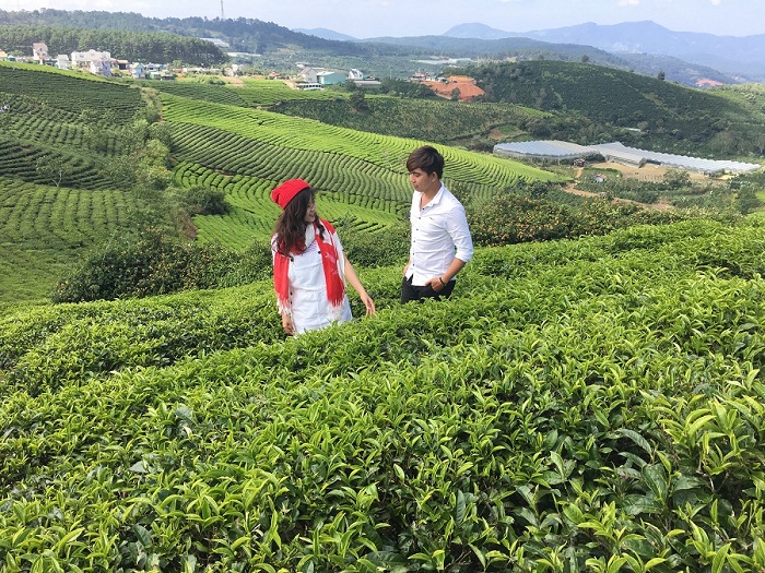 Tour Đà Lạt 3 ngày từ Đà Nẵng