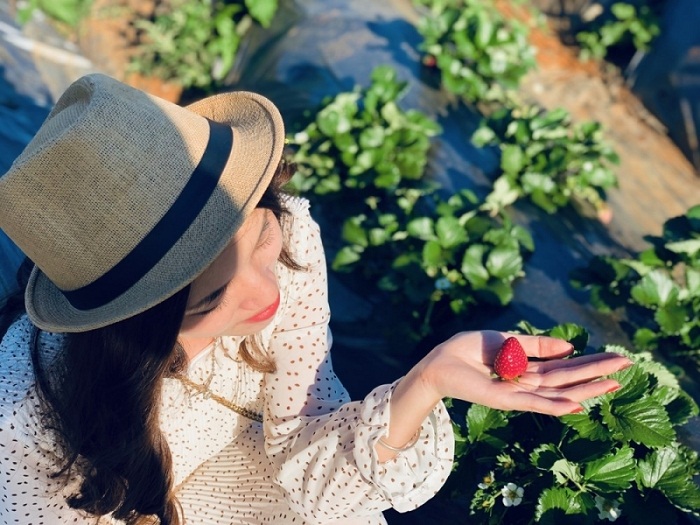 Combo Đà Lạt 3N2Đ lưu trú khách sạn Ladalat 5 sao