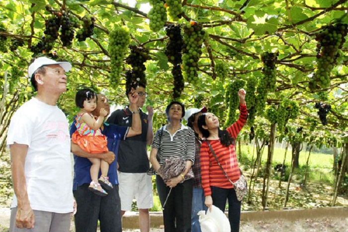 tham-quan-vuon-nho-pattaya