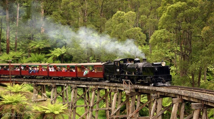 Puffing_Billy