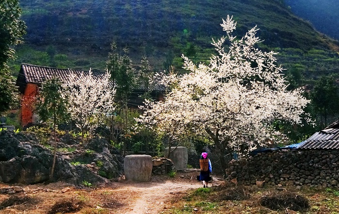 Làng văn hóa Lũng Cẩm