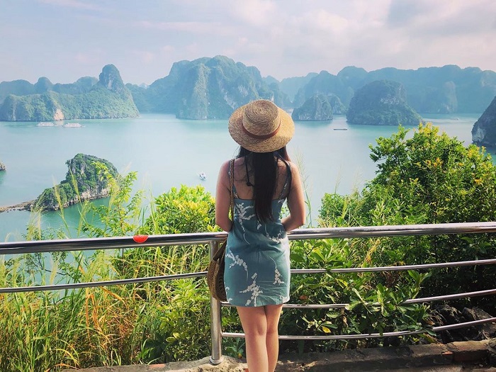 Tour Du Lịch Hạ Long 1 Ngày thăm đảo Ti Tốp