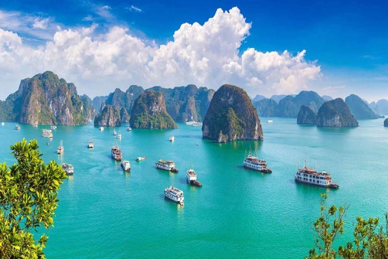 Tour Du Lịch Hạ Long 1 Ngày Từ Hà Nội Khởi Hành Hàng Ngày
