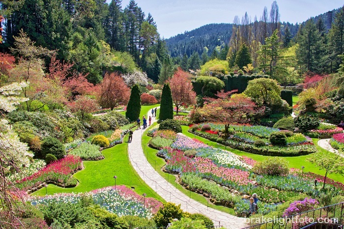 Butchart_Gardens_45
