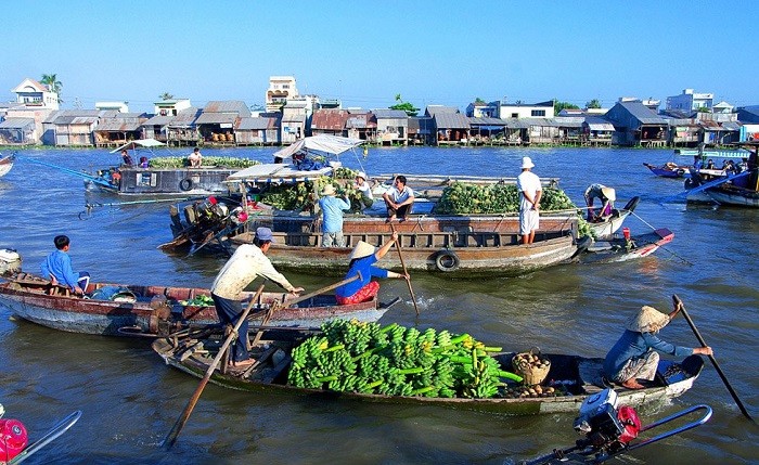 cho_noi_cai_rang_4