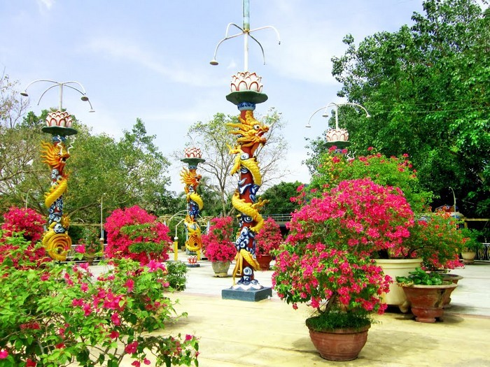 di_tich_ong_dao_dua