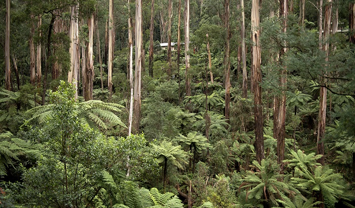 dinh-dandenong-uc
