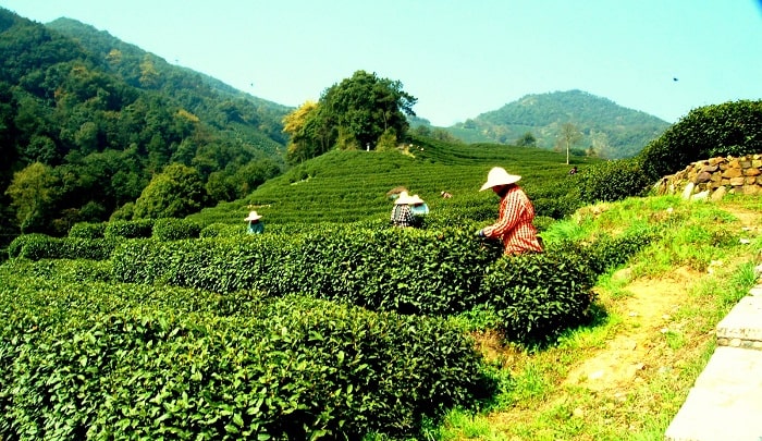 Tour du lịch Trung Quốc 7 ngày từ Hà Nội 