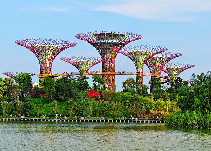 Vườn thực vật Garden by the Bay