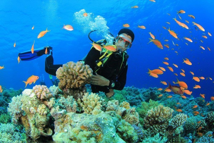 Trải nghiệm lặn ngắm san hô Hòn Một khi Đi tour du lịch Nha Trang Đà Lạt