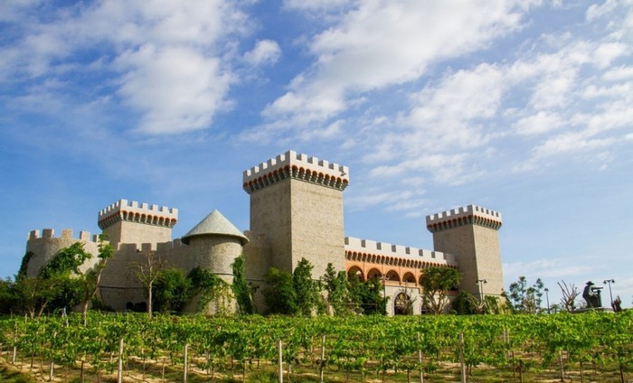 lau_dai_ruou_vang_RD_Wine_Castle_1