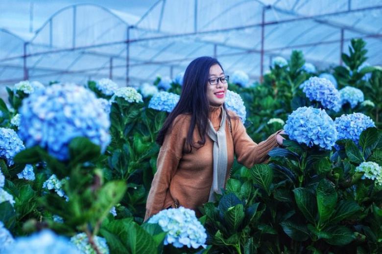 Vườn hoa Đà Lạt
