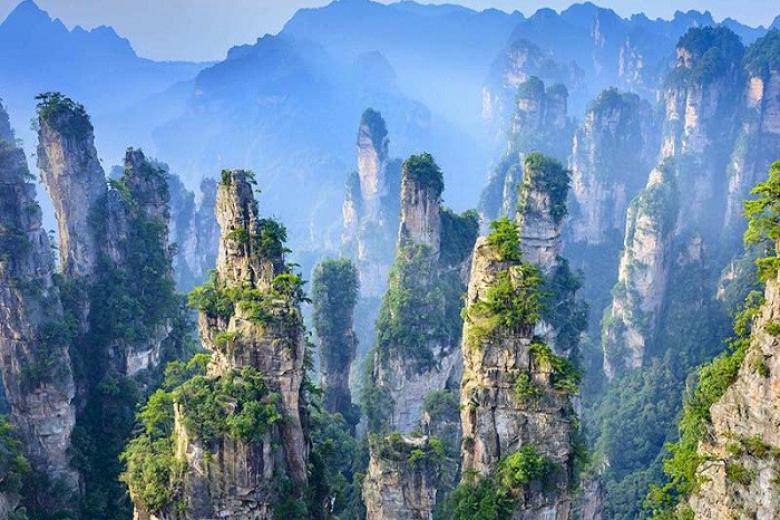 Trương Gia Giới