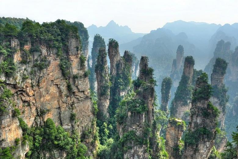 Trương Gia Giới