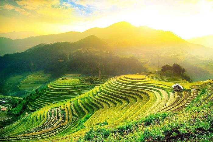 Tour Mù Cang Chải 2 ngày tham quan ruộng bậc thang