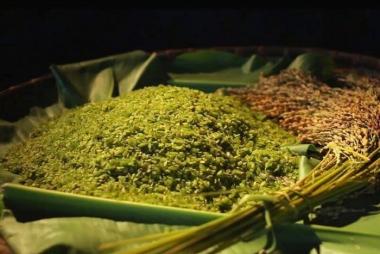 Tour Du Lịch Yên Bái 2N1Đ: Hà Nội - Mù Cang Chải - Đèo Khau Phạ - Tú Lệ, Xe Ôtô