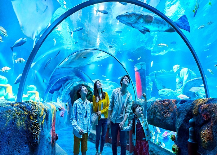 S.E.A AQUARIUM