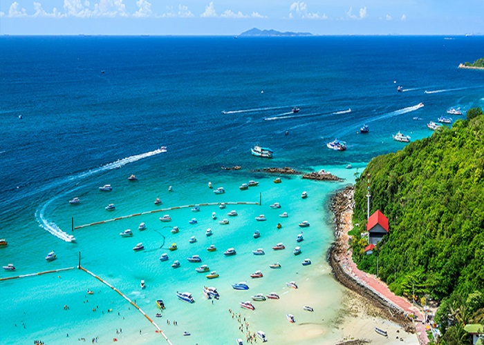 Đảo San Hô (Coral Island)