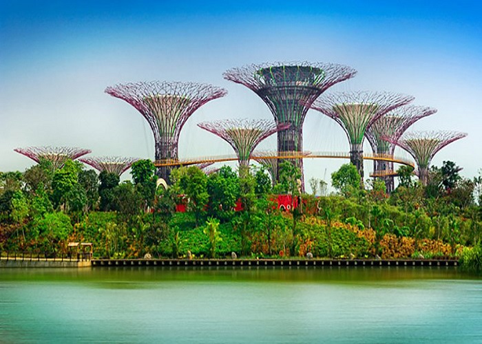 Gardens by the bay