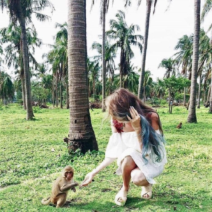 Tour khám phá đảo Nha Phu 1 ngày tham quan đảo Khỉ