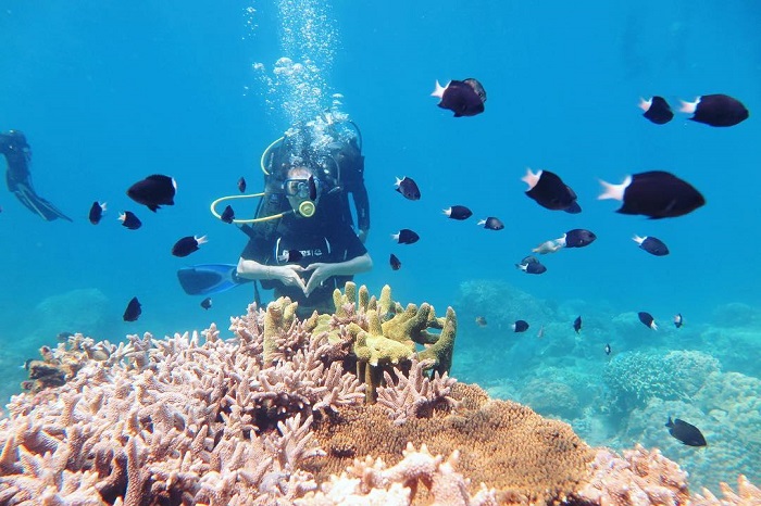 Tour Phú Quốc 3 ngày trải nghiệm lặn san hô
