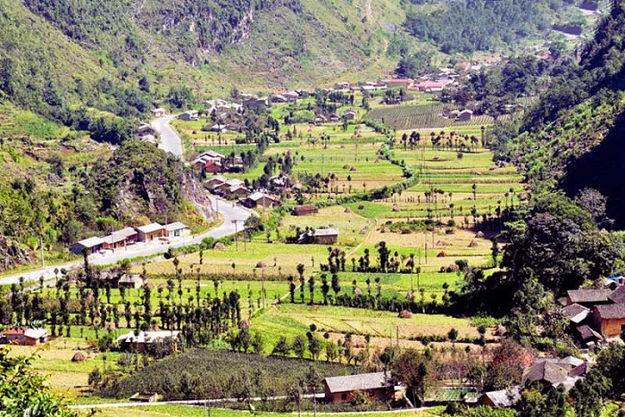 Sủng Là