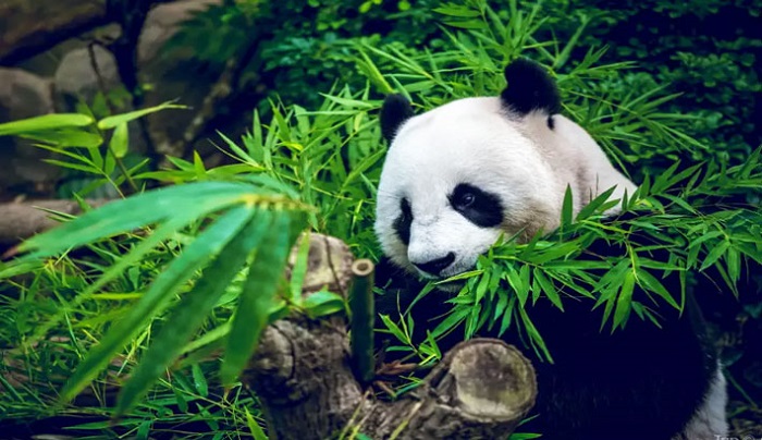 Vui chơi, tham quan