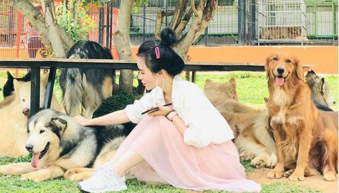 Tour Đà Lạt 3N3Đ tham quan trang trại cún