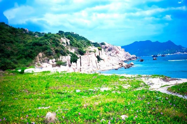 Bãi Chướng