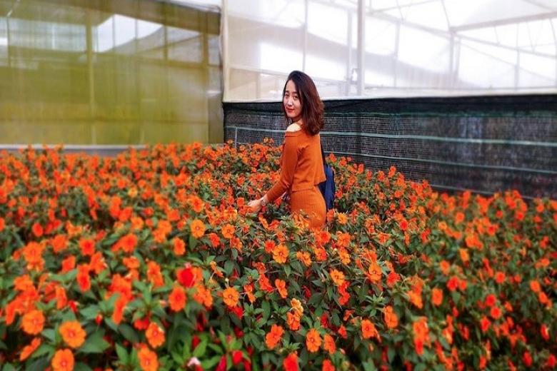 Làng hoa Vạn Thành