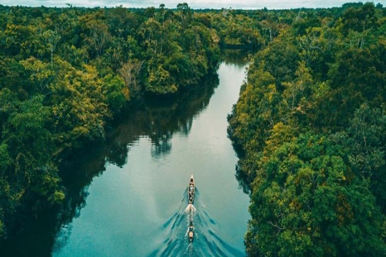 Rừng Amazon
