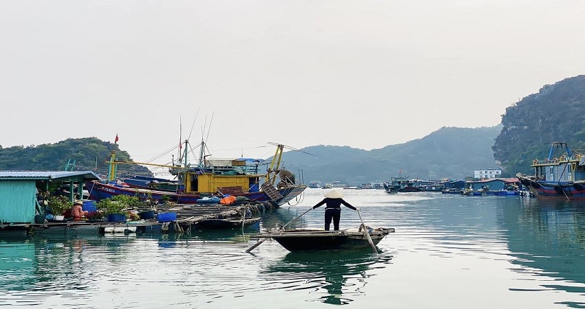 Làng chài Cái Bèo