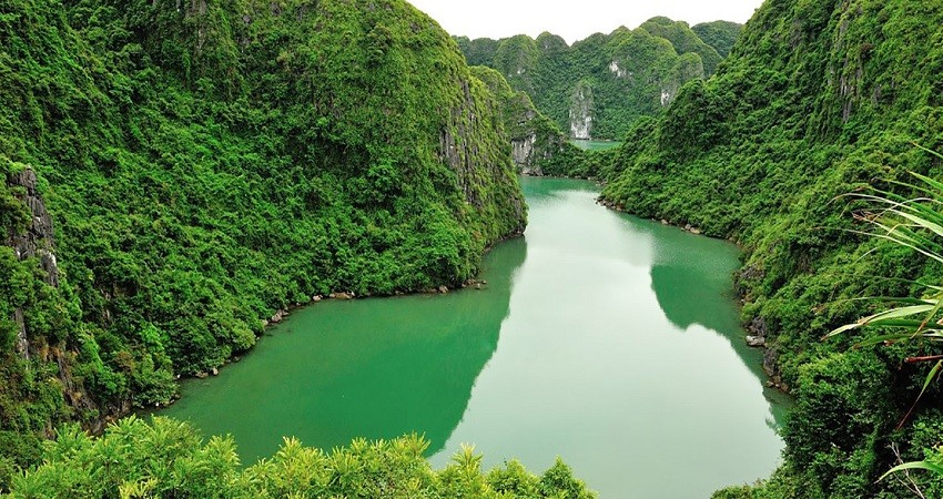 Vườn Quốc gia Cát Bà