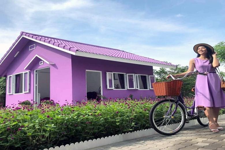Căn nhà màu tím