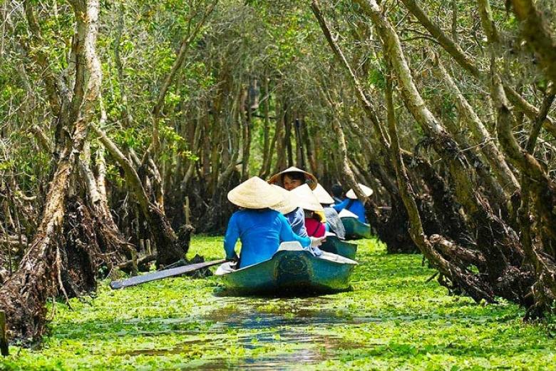 Rừng Tràm Trà Sư