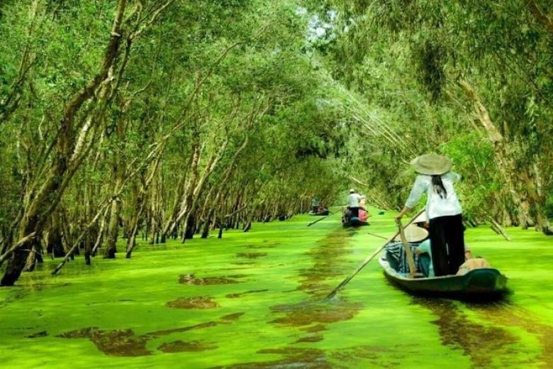 Rừng Tràm Trà Sư