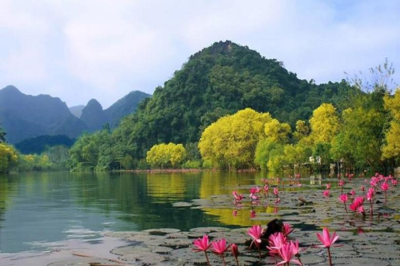 Suối Yến