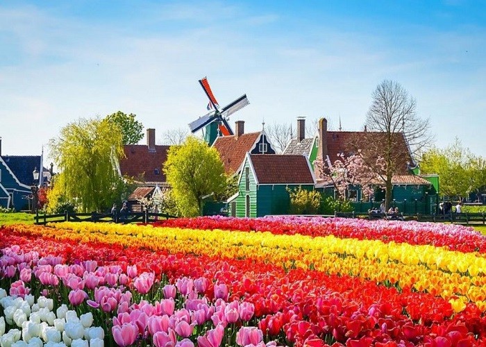 keukenhof