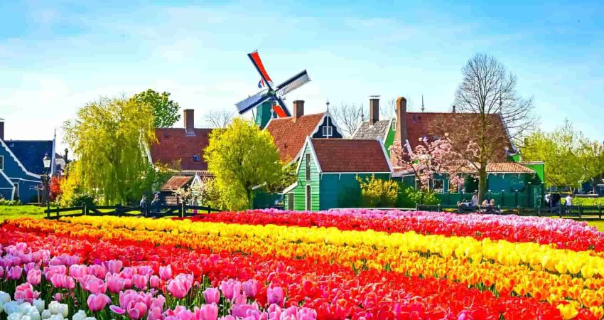 Làng cối xay gió Zaanse Schans