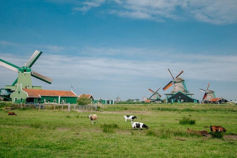 Làng Zaanse Schans