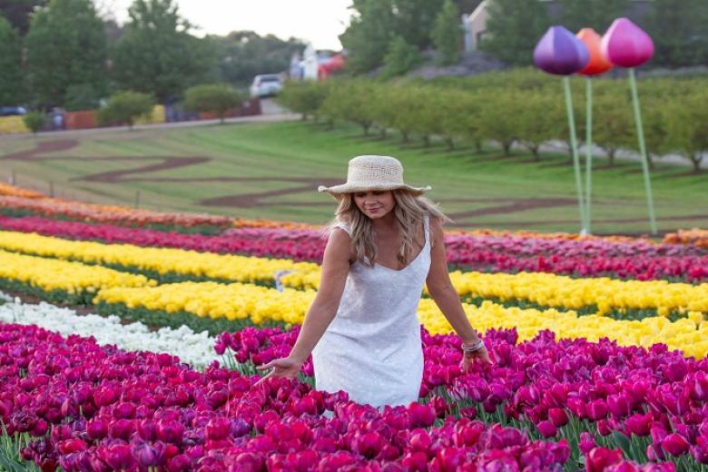 Lễ hội hoa Tulip rực rỡ sắc màu