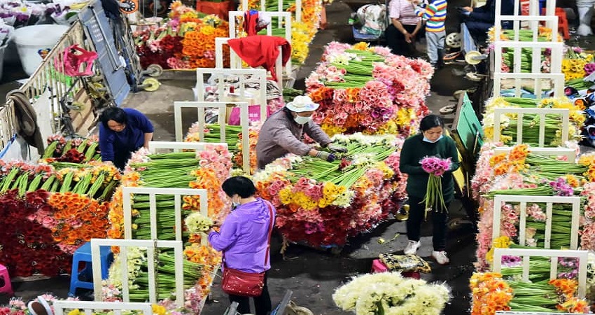 Chợ hoa Đấu Nam