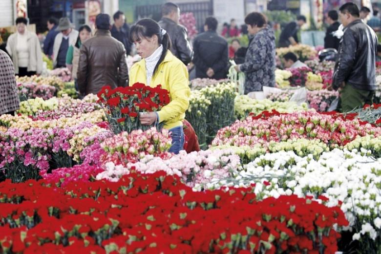 Chợ hoa Đấu Nam