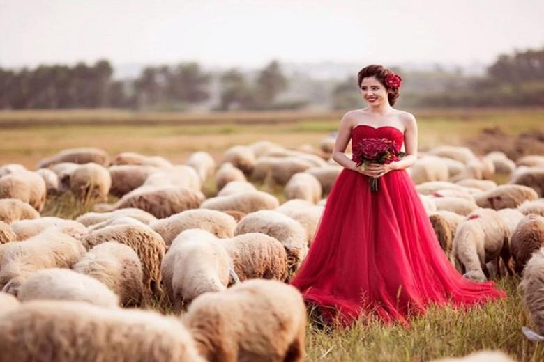 Đồng cừu Suối Nghệ